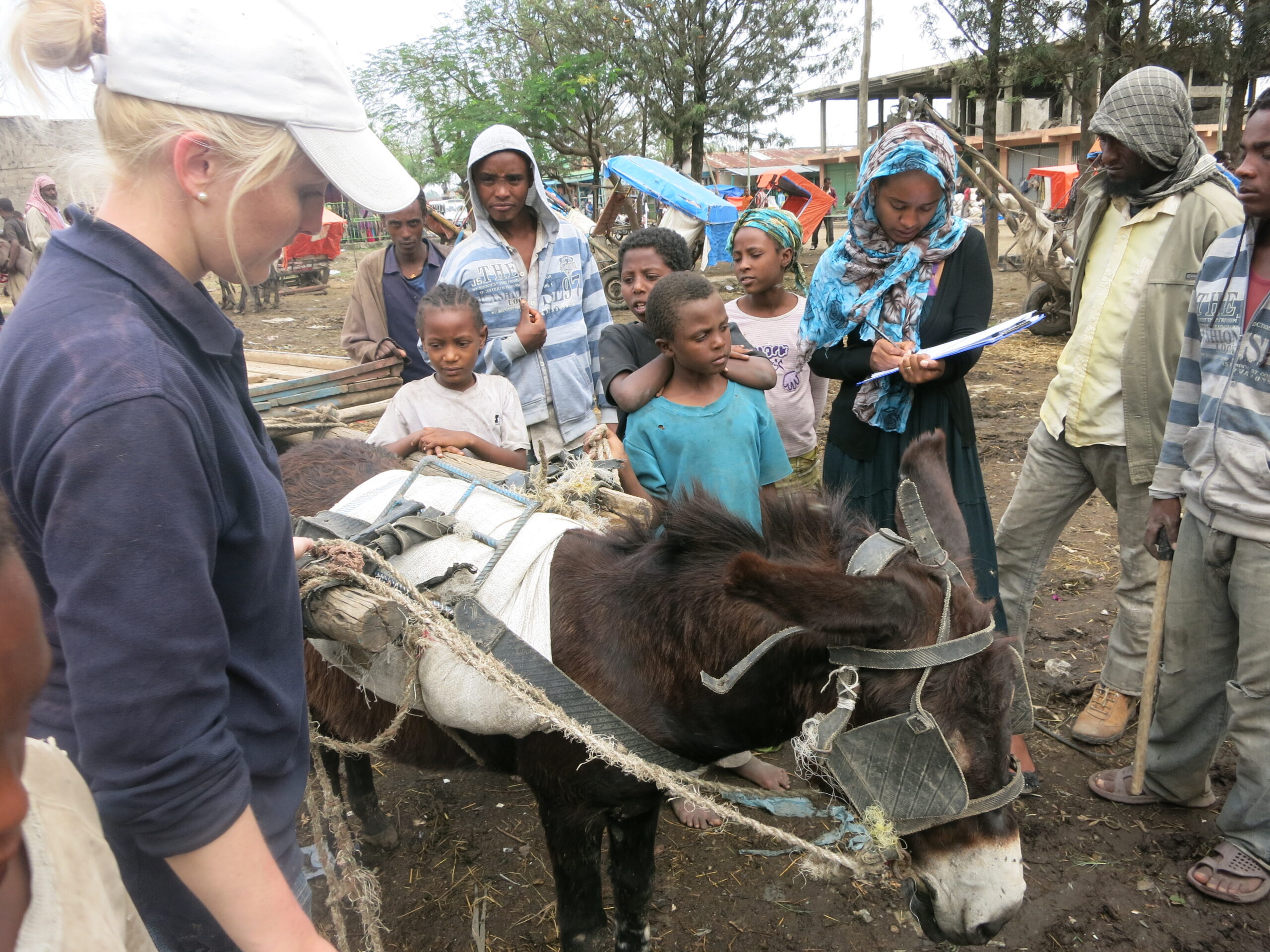 Ashleigh on a welfare assignment