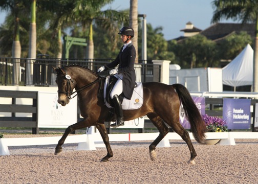 Gideon, competed by JJ Tate, is owned by breeder Pam Liddell.