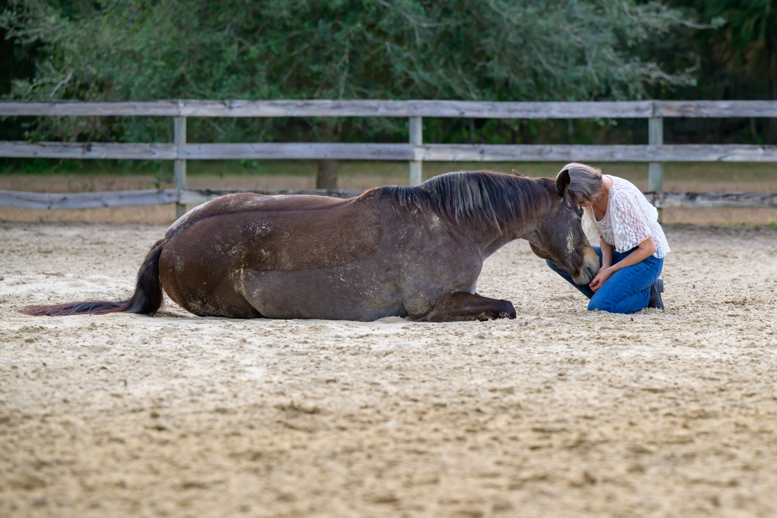 Welcome to Sidelines Magazine Collection