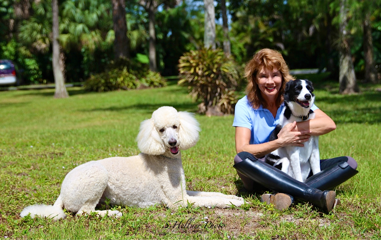 Marti, Fizz and Lark 