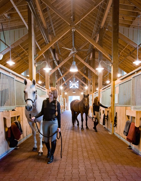 The facility is home to 65 SCAD-owned horses.