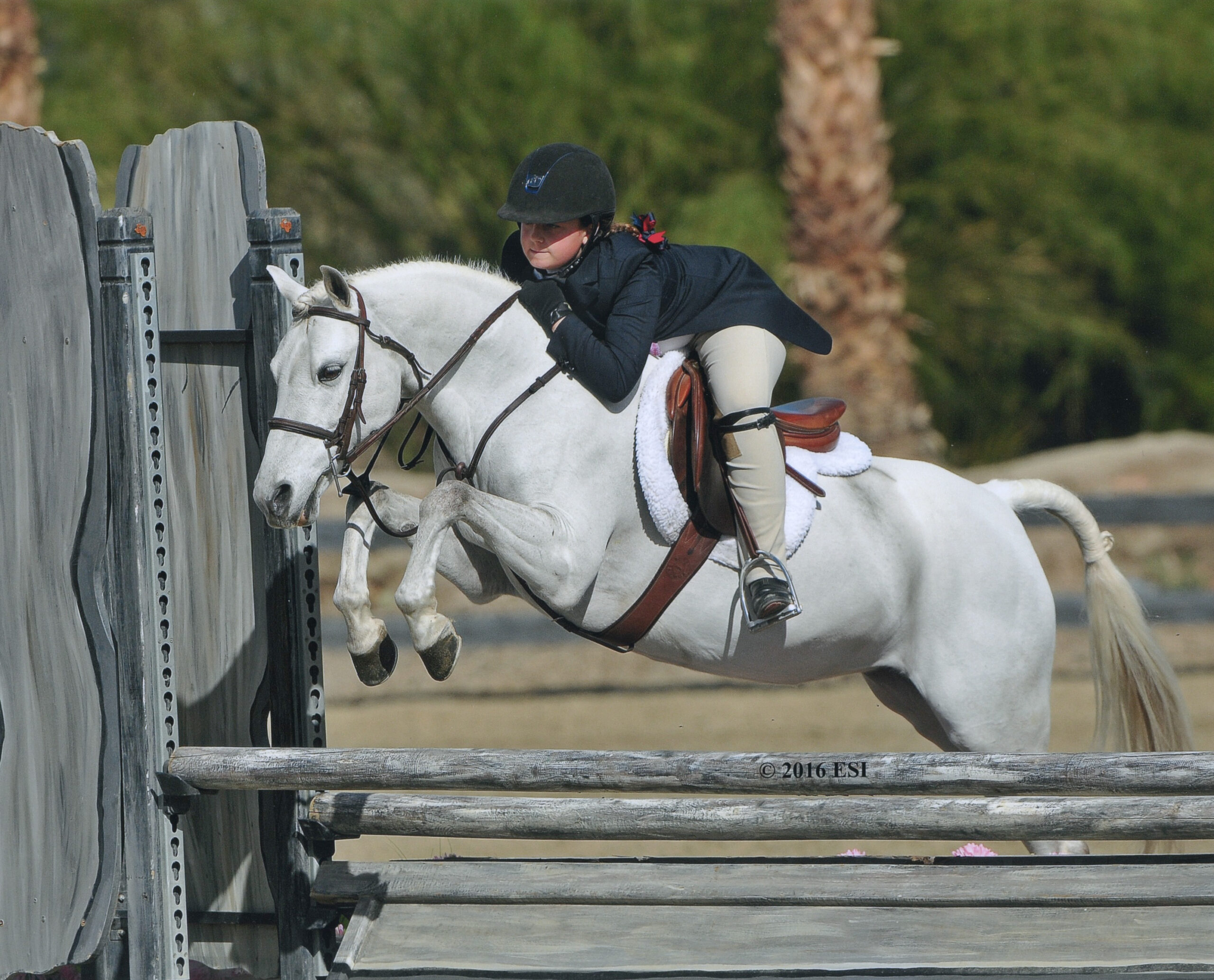  Stella and Blueberry Hill Photo by ESI