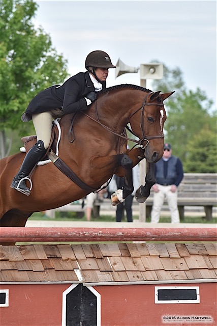 Caitlyn, aboard Granted Wish, learned the base of her foundation from trainer Andre Dignelli. Photo by Alison Hartwell
