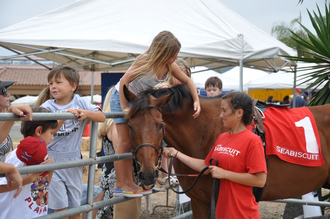 Fred, who appeared in the movie Seabiscuit, still makes appearances as Seabiscuit. Photo by Candace Chew 