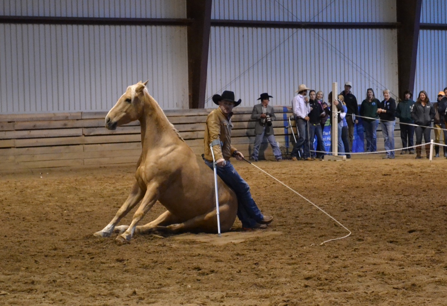 Dan James captivated the audience with his accent, his training skills and his ability to use his horse as a comfy chair.