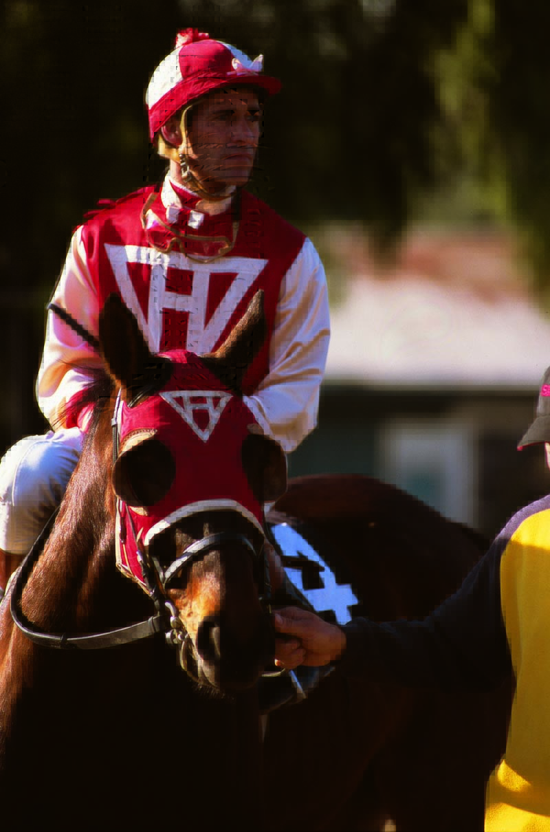 Real-life jockey Gary Stevens on Fred, also known as Seabiscuit. Photo by Katey Barrett 