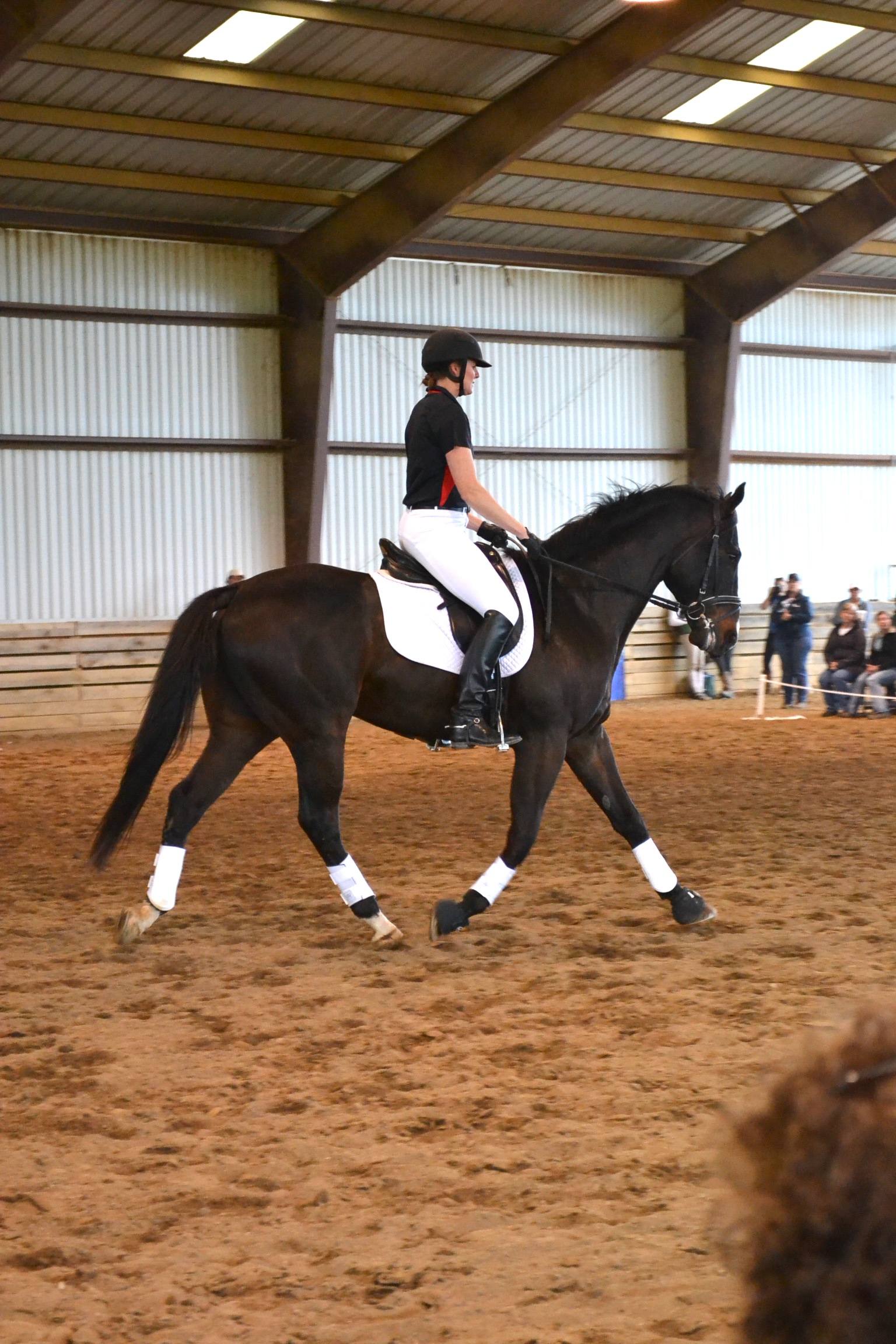 Dr. Jill Stowe and Dundee took part in the mini-clinic.