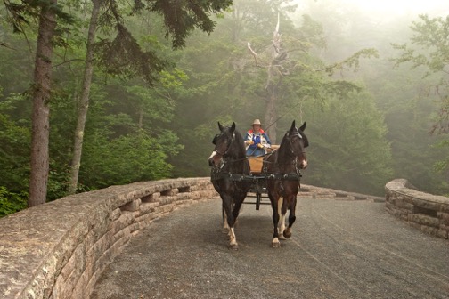 A beautiful ride on Acadia’s carriage roads. Photo by Ulrike Welsch