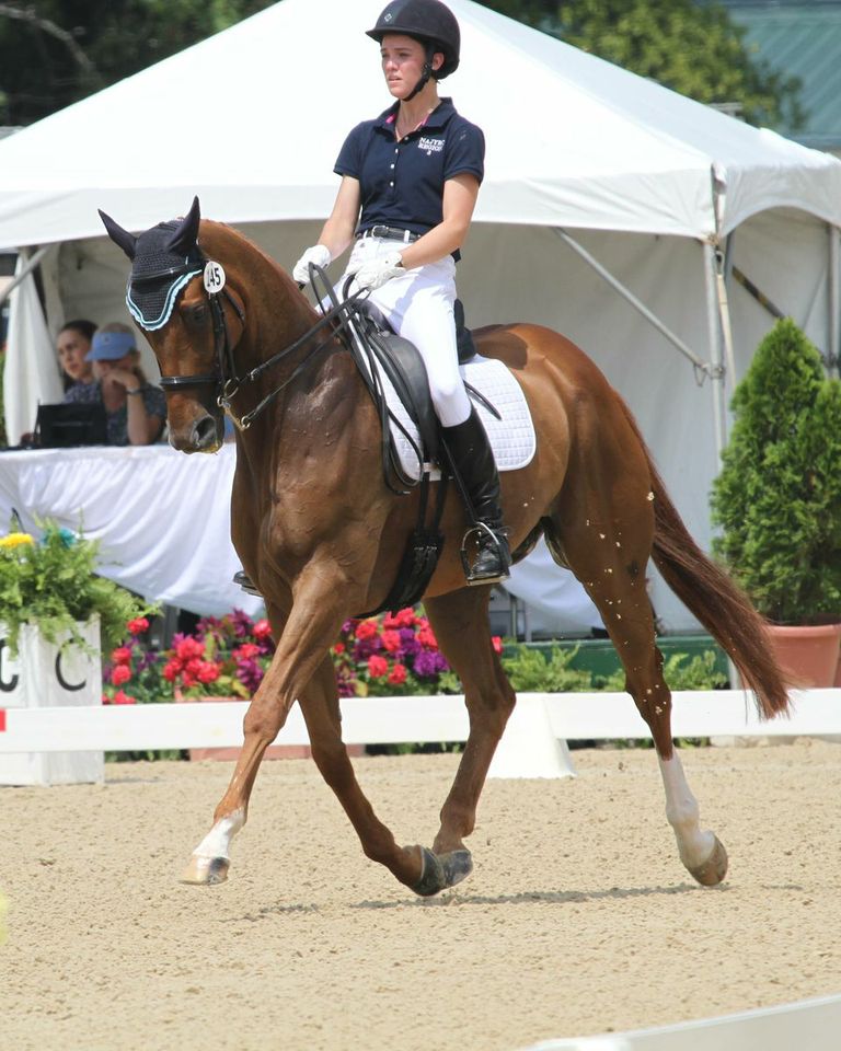 Jamie helped bring home the team bronze in dressage at the 2013 NAJYC.