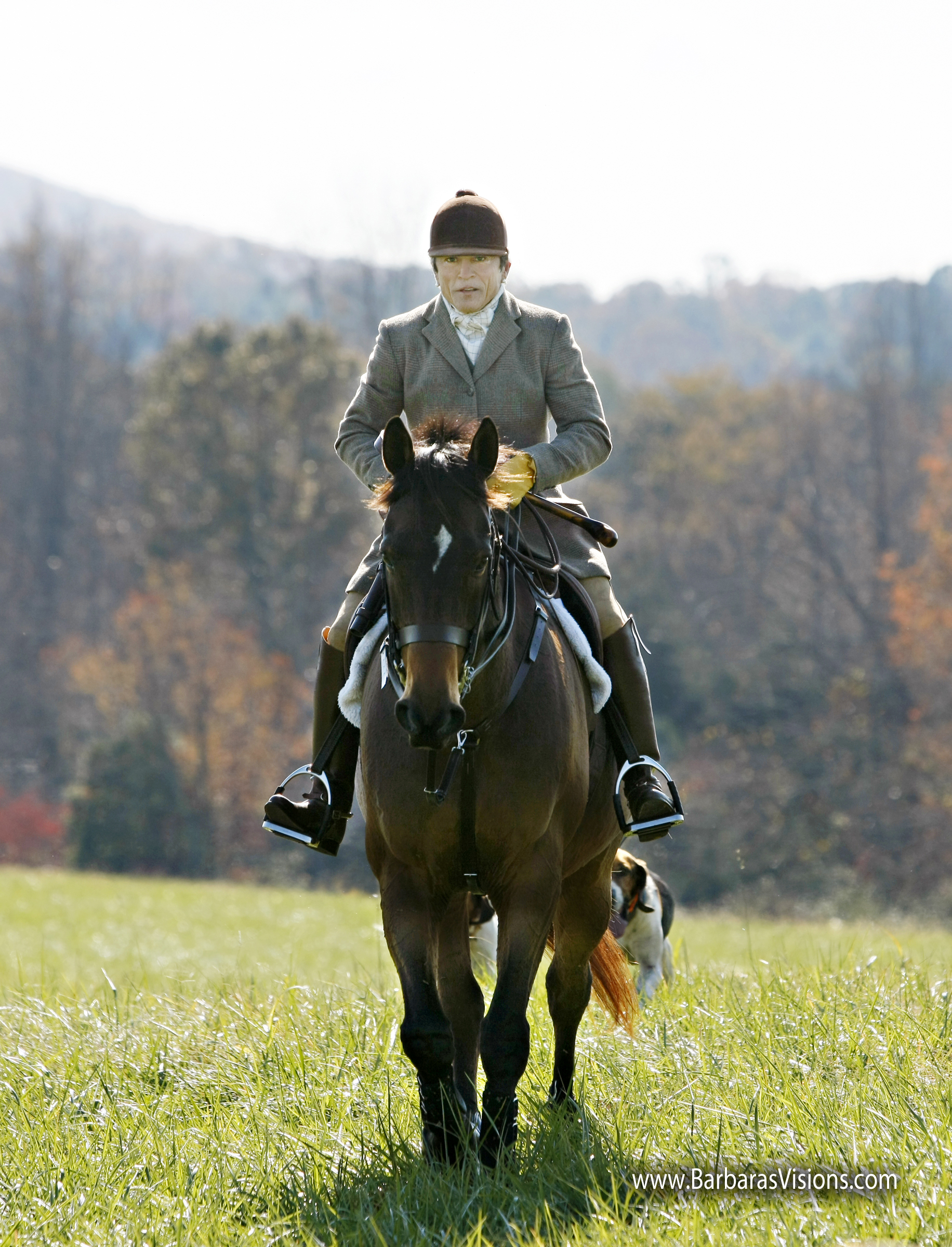 Foxhunting2 Rita Mae wearing traditional brown tweed, informal cubbing attire. Photo by Barbara Bower, www.barbarasvisions.com