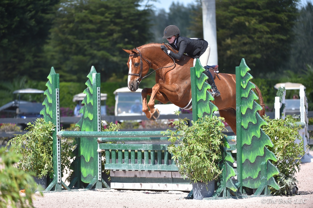 Becky and Touchdown in the 3'3" AO hunters at WEF Photo by The Book LLC