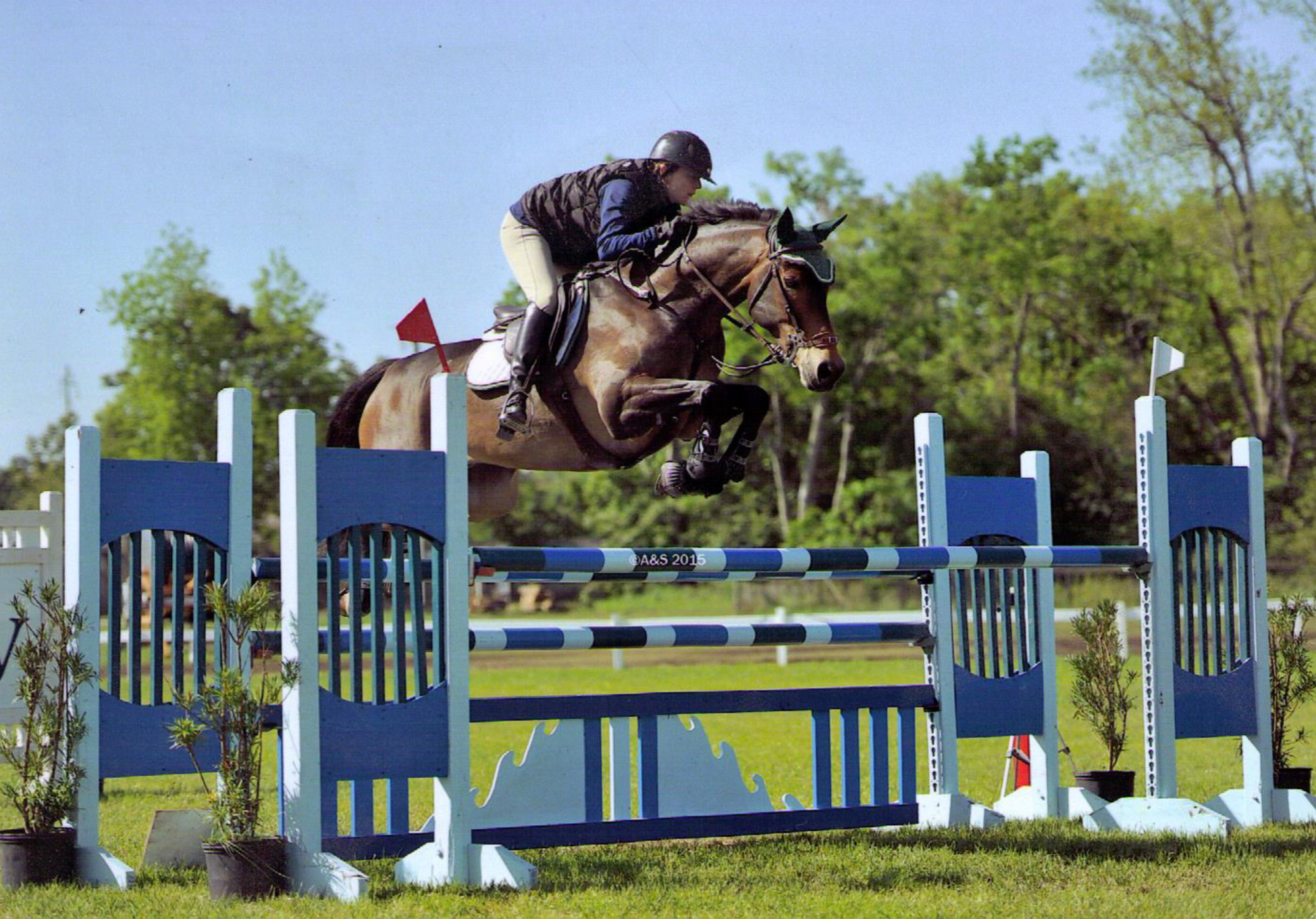 Katie on Vigo in Aiken, South Carolina. Photo by A&S Photography