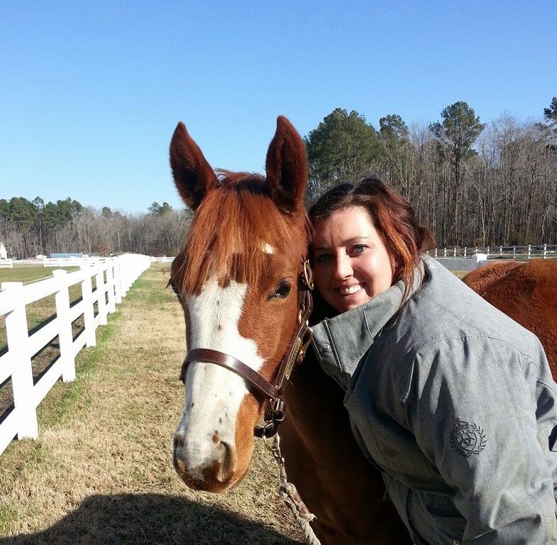 Kimmy’s first homebred, Amorous, who is now owned by Dr. Katie Ziggas. Amorous placed 3rd at the Young Horse Show Finals and 2nd at Devon in 2015. Photo by Patty Risser