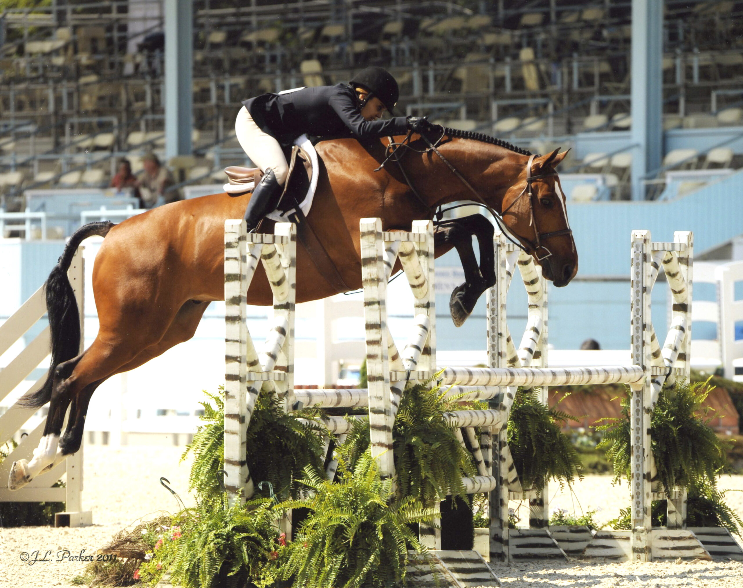 Laura and Overseas at Devon Photo by James Leslie Parker