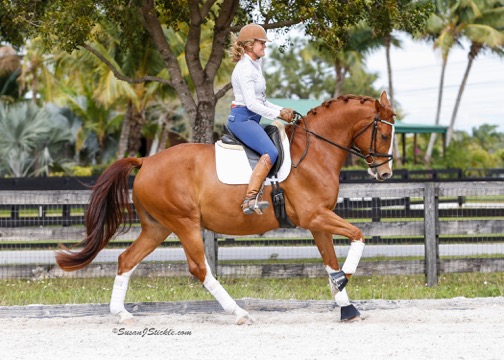 Liz and Dobby. Liz feeds BioStar’s whole food treats to help keep her horse’s happy. Photo by Susan J. Stickle