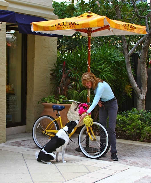 Marti working with Lark.