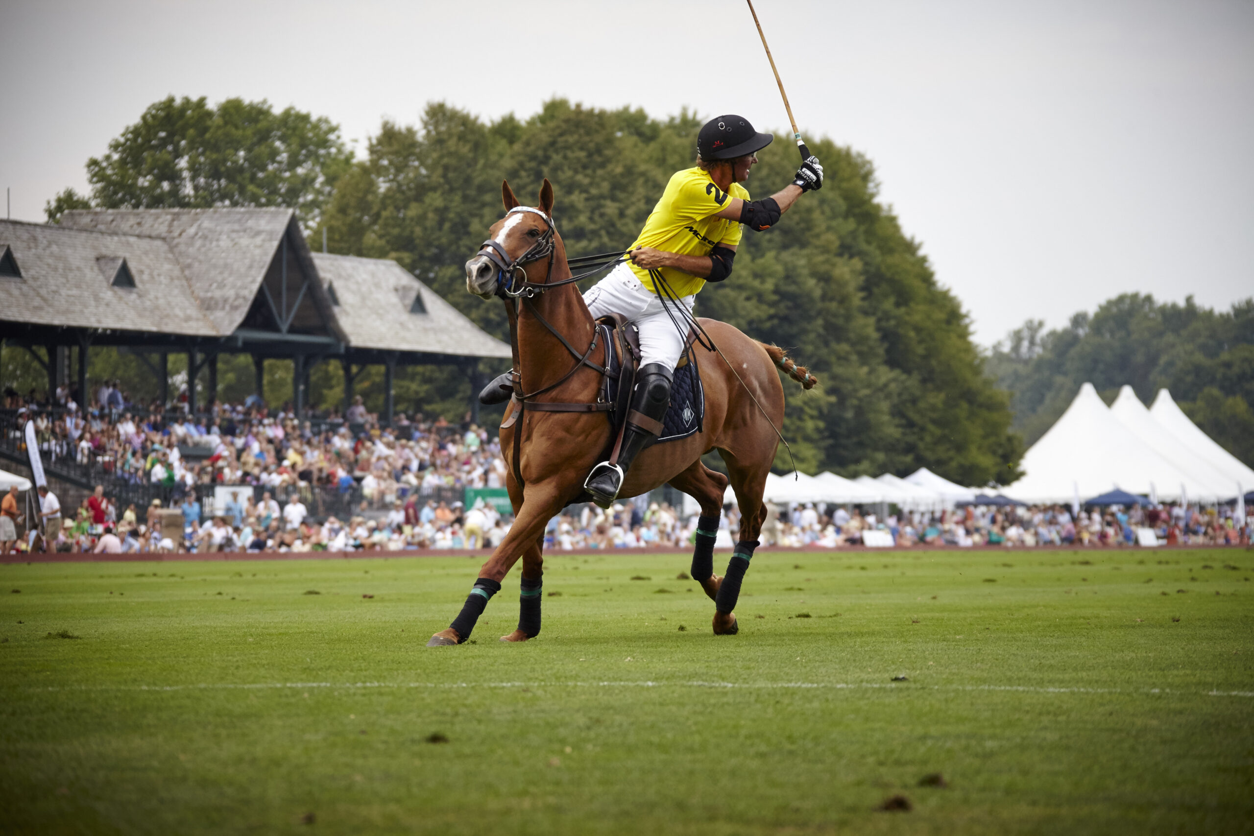 Nick Manifold at Greenwich Polo Club Photo by ChiChi Ubina 