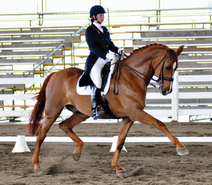 International Dressage rider Suzanne Dansby Bollman and her equine partner Cooper, an 18.3 hand Holsteiner gelding, have returned to the Grand Prix following an injury that put Cooper on the sidelines three years ago.  Bollman calls Cooper’s return a miraculous event and they will compete at The Georgia Dressage Southern shows and the Raleigh CDI.  Photo courtesy of Robert Cieszenski of WNC Photography