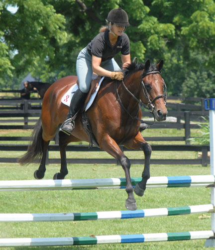 Photo by Lauren R Giannini