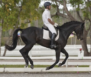 Darren Chiacchia, a 2004 Olympic eventing bronze medalist, 2003 Pan American Games individual gold medalist and a winner of the Rolex Kentucky Three-Day Event, is continuing his steady recovery from the near-fatal fungal meningitis he contracted last October. Darren won three blue ribbons at the White Fences Dressage Show in Wellington, Florida in February aboard his own black stallion, Ballzauber. Now head trainer for The YARD Sport Horse Center, also in Wellington, he is training a solid group of both young and advanced eventing, dressage and show jumping horses. For more information on Darren, visit www.teamchiacchia.co. Photo by Bob Carey