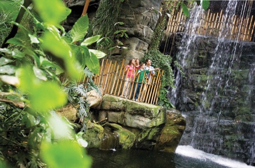 Visit the rainforest at Omaha’s Henry Doorly Zoo and Aquarium.