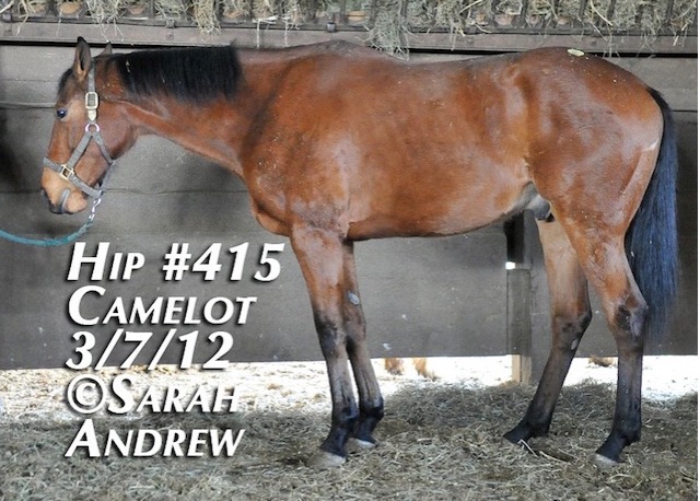 Atom’s photo from the Camelot Auction.