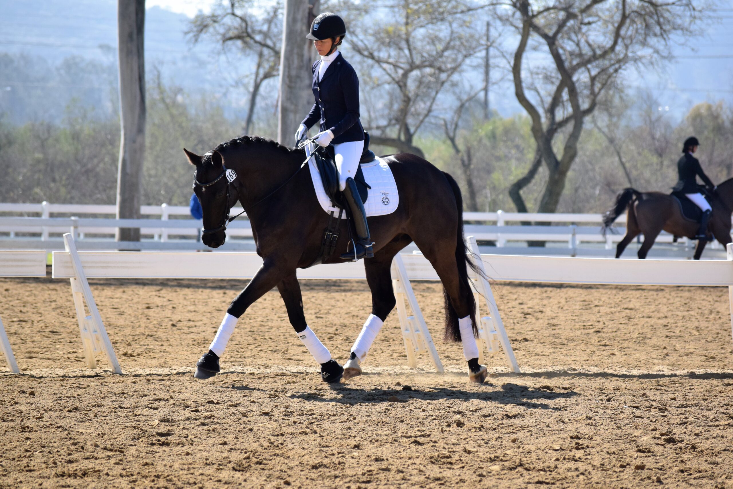 Shannon and Disco Inferno, an 8-year-old by Westpoint owned by Shannon and Steffen Photo courtesy of Shannon Peters 