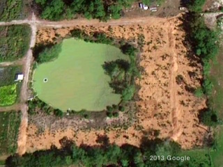 Images from Google Earth of areas surrounding Wellington, Florida, show a vast amount of used stall bedding (the tan/yellow areas). According to Shelly, the water in the lakes and canals has turned green with an algal bloom from the runoff. 