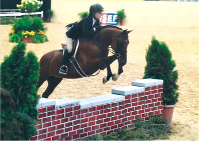 sidelinesmag-ponies-for-sale