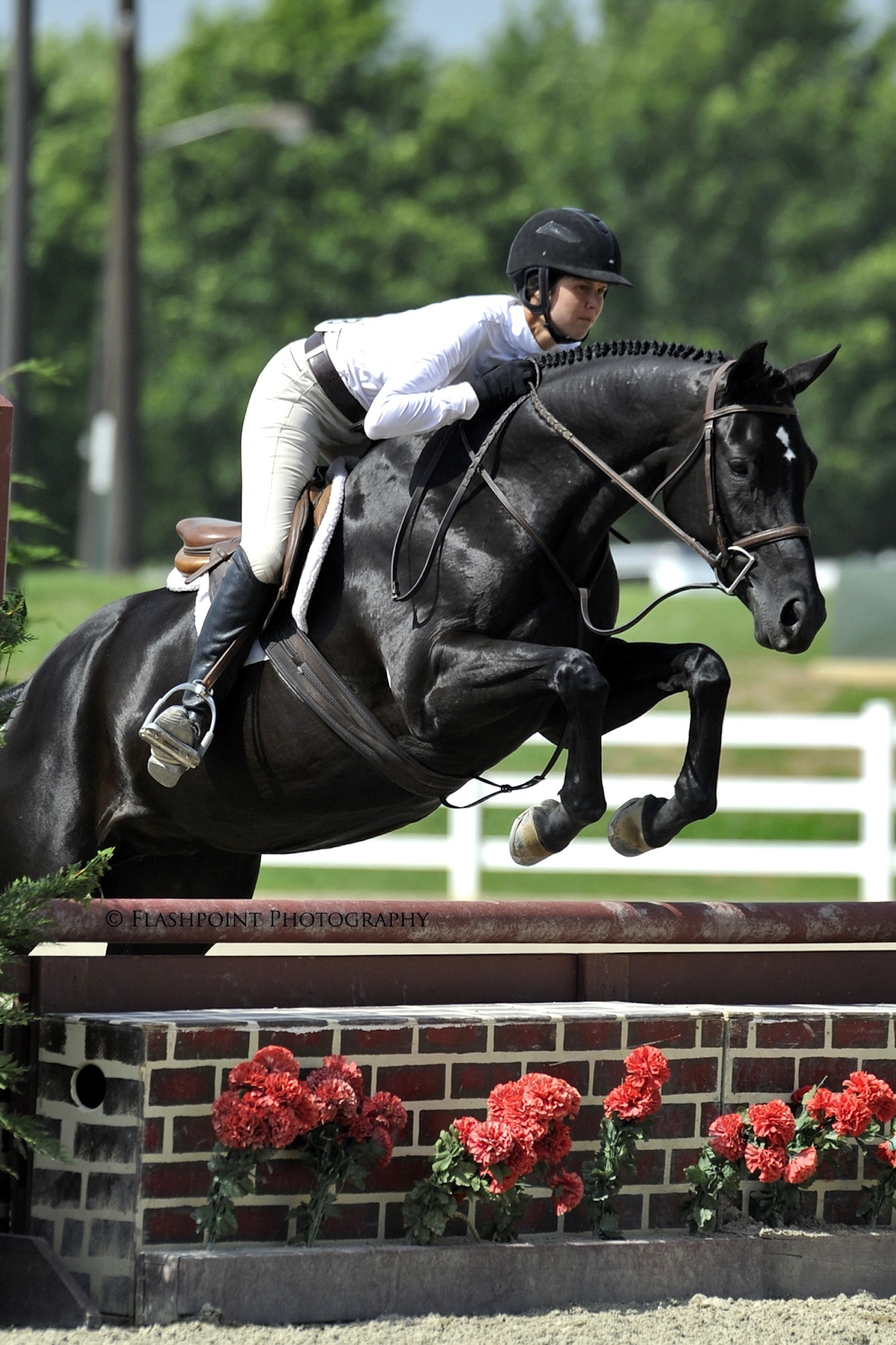 New Orleans – 2007 Hanoverian filly bred by Edgewood Meadow Farm as Fleuretta EMF (Fabuleux-Fun Choice xx) and bought in 2009 by Muny Sunk Stables – ridden by Liza Towell Boyd, qualifying for the inaugural 2013 USHJA Pre-Green Incentive Program (PGIF) Finals. Photo by Flashpoint Photography