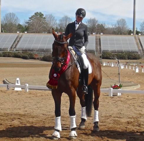 Clever, bred by Stephanie, won the Holsteiner Award at his very first show. Photo courtesy of Stephanie Hartigan 