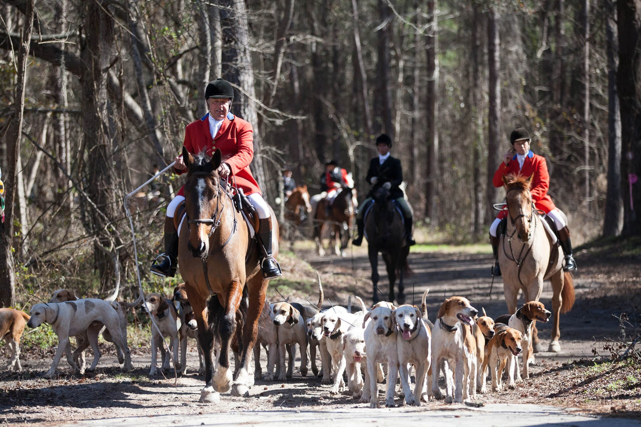 Sue and Martyn at the Lowcountry Hunt in Jacksonboro, South Carolina.
