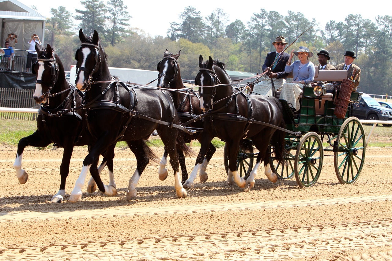 Jack Wetzel at The Aiken Trials Photo by Louisa Davidson