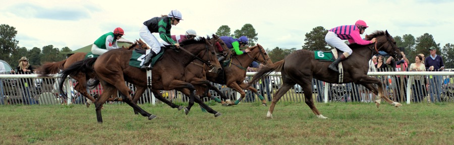 Aiken steeplechases Photo courtesy of VisitAiken, SC