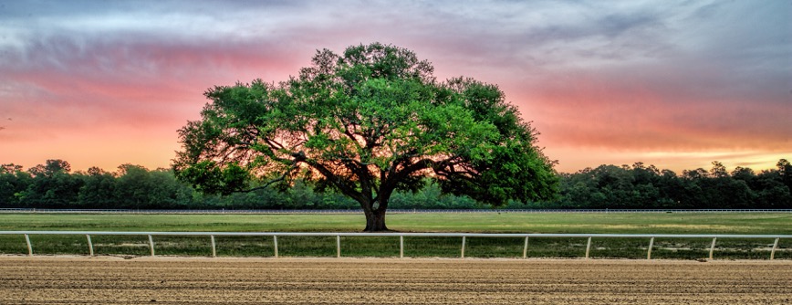 The Aiken training track Photo courtesy of VisitAiken, SC