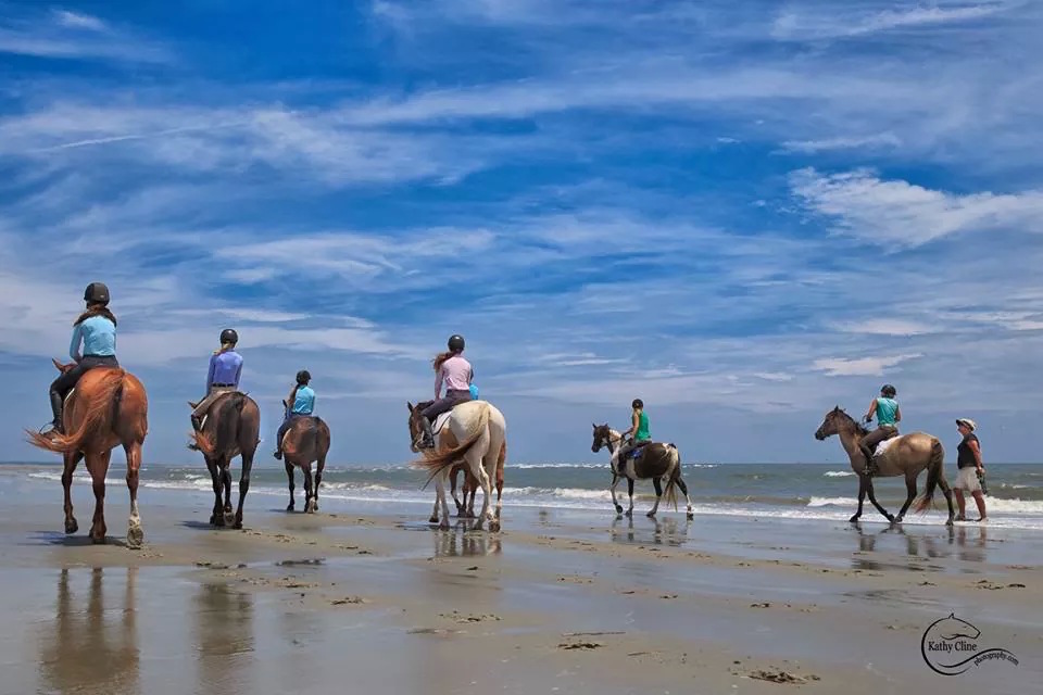 Horse show competitors taking part in the Charleston Summer Classic enjoy riding on the beach. Photo by Kathy Cline Photography