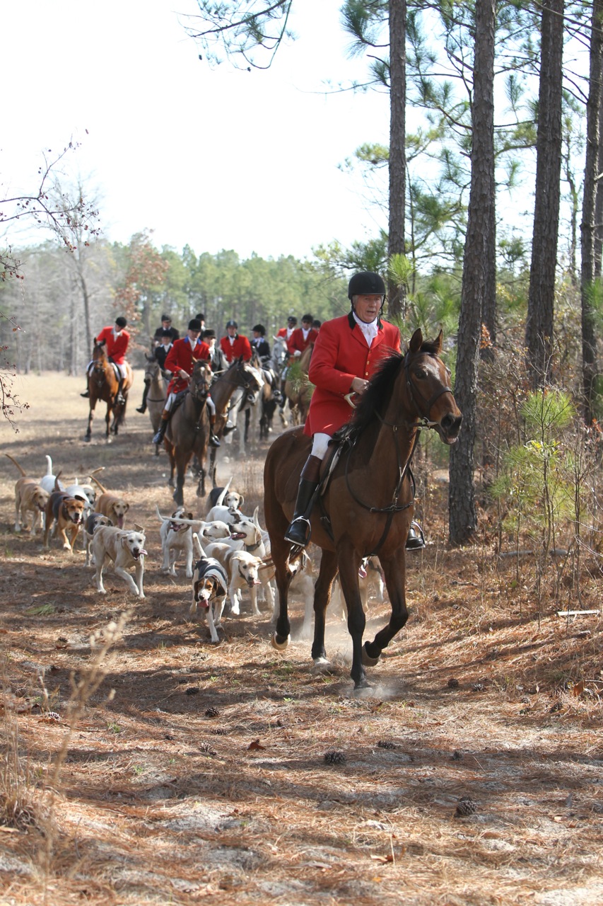 Whiskey Road Hounds Photo by Louisa Davidson
