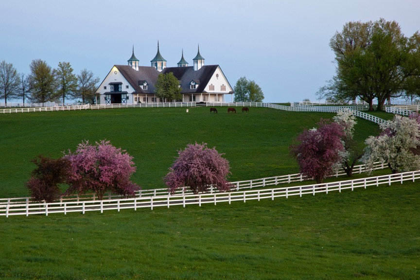 Beautiful horse farms dot the Lexington landscape Photo courtesy of <a href=