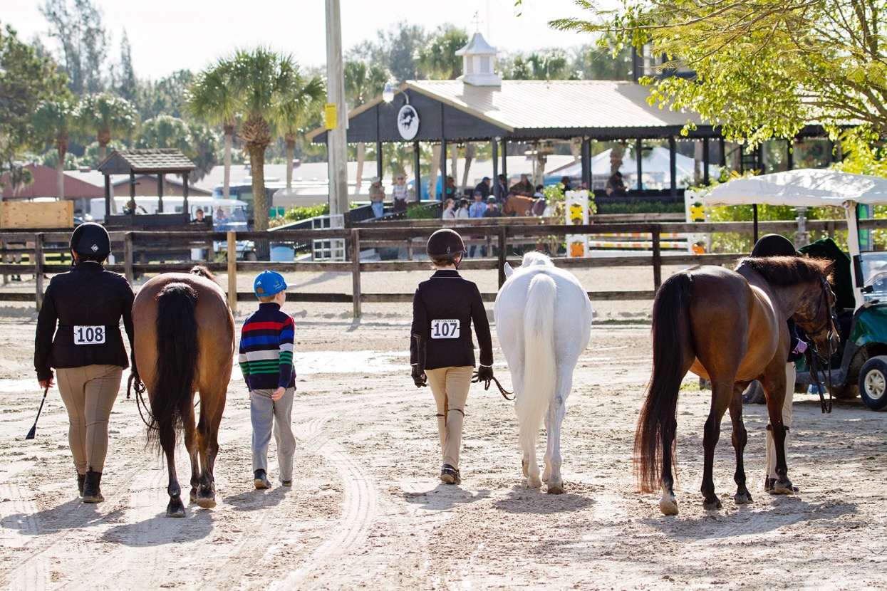 Palm trees and ponies make for a great combination at Fox Lea Farm. Photo by Victoria DeMore