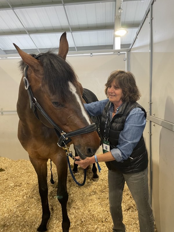 Jo-Ann1Jo-Ann Wilson is the director of Wilson Maeger Sports Therapy. Jo-Ann2Jo-Ann teaches her science-backed method of treating horses. Jo-Ann3Jo-Ann treating a horse. Jo-Ann4Jo-Ann teaching her unique equine bodywork method.