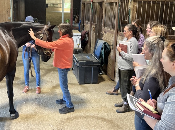 Jo-Ann1Jo-Ann Wilson is the director of Wilson Maeger Sports Therapy. Jo-Ann2Jo-Ann teaches her science-backed method of treating horses. Jo-Ann3Jo-Ann treating a horse. Jo-Ann4Jo-Ann teaching her unique equine bodywork method.
