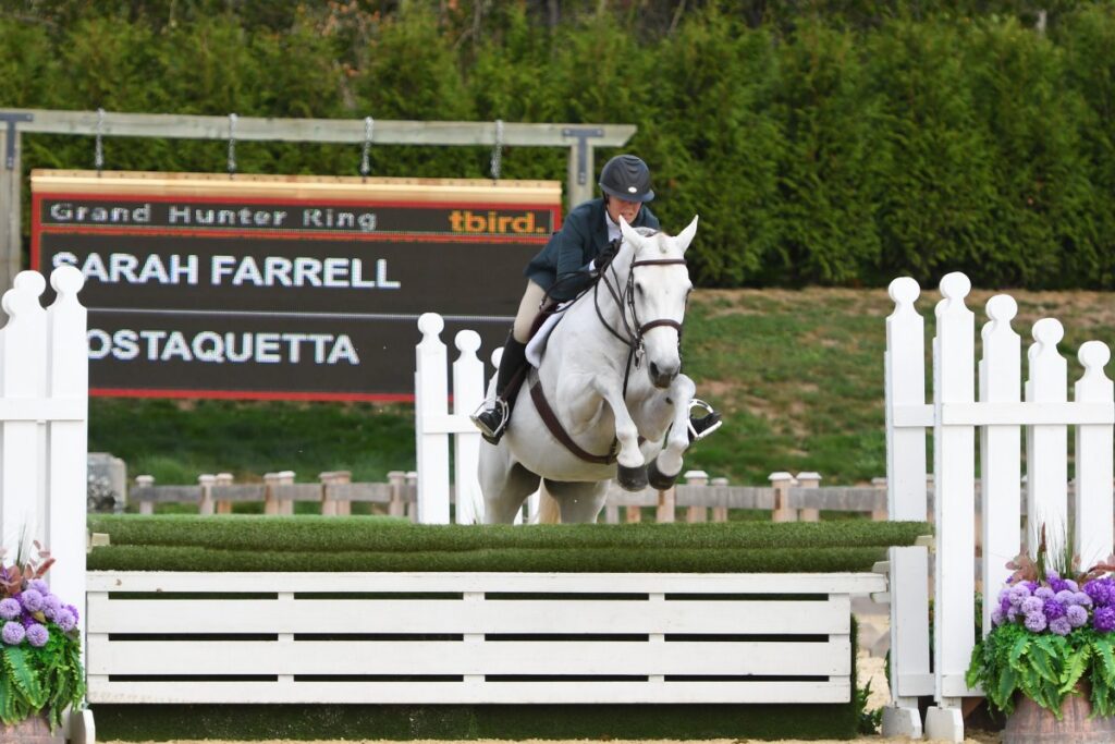 Sarah competing her horse Costaquetta, also known as Annie the One-Eyed Hunter.