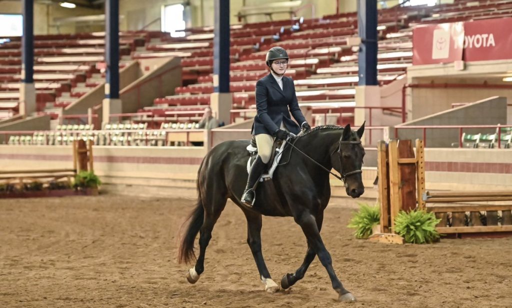 Ceci represents Centenary University in both IHSA competition and their Hunter/Jumper team during the school year.