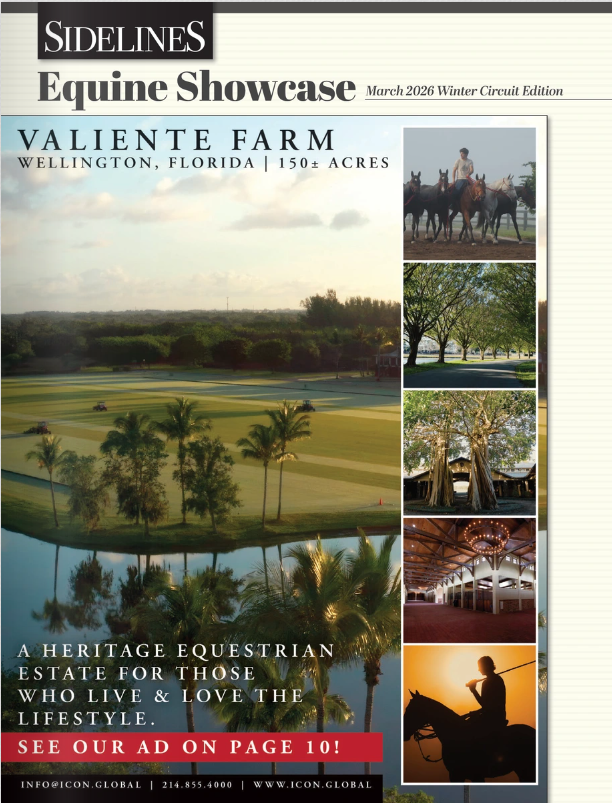digital guide 02 2026
