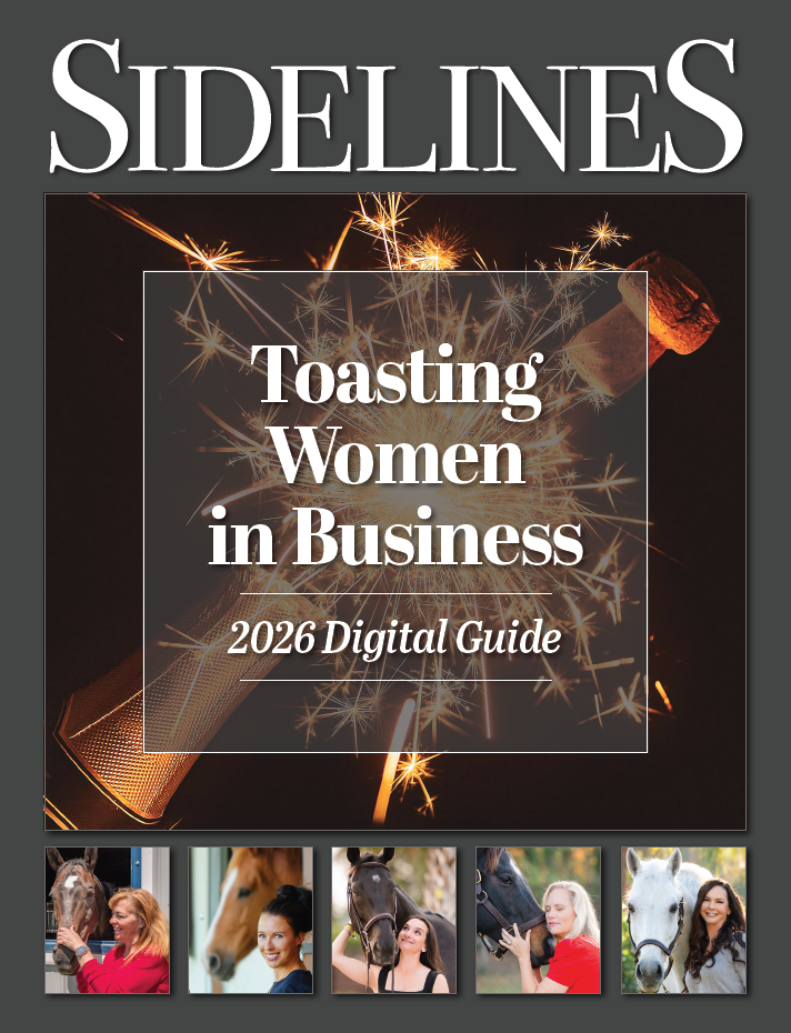 digitalguides 03 2026
