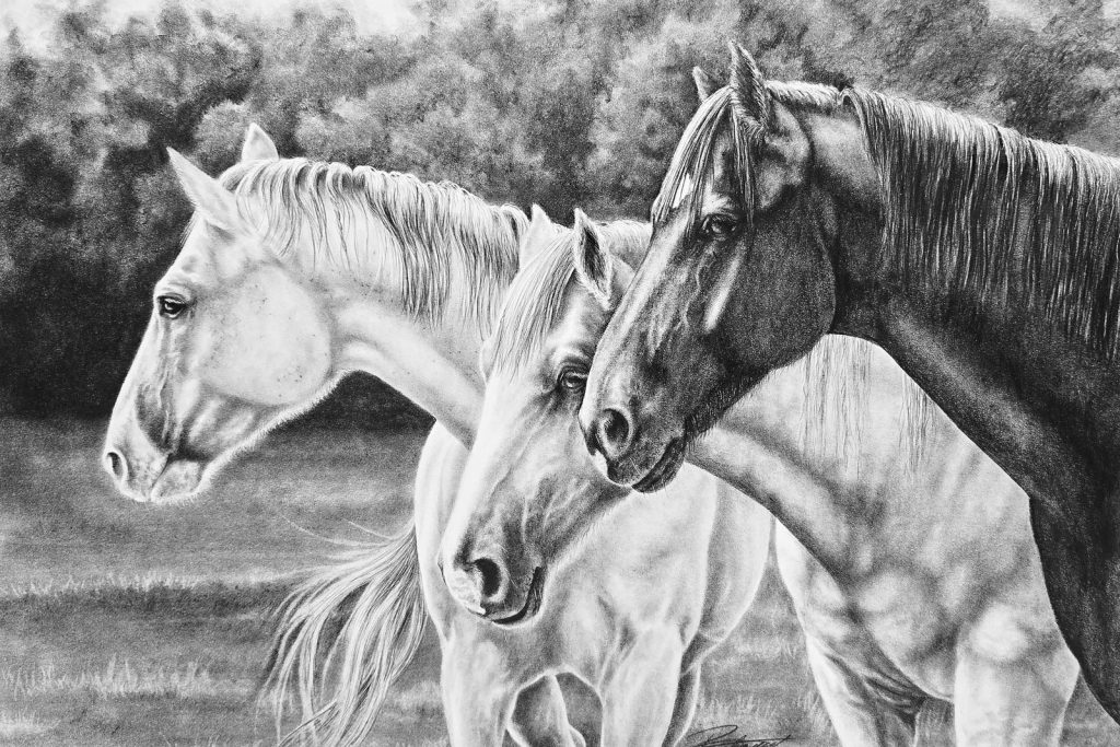 “Two Greys and a Bay”